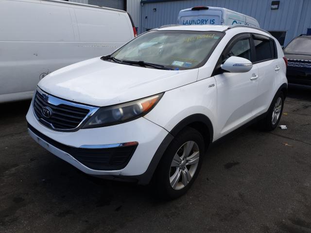 Photo 1 VIN: KNDPBCA24B7061890 - KIA SPORTAGE 