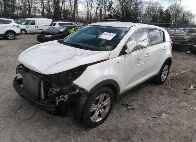 Photo 1 VIN: KNDPBCA24D7408654 - KIA SPORTAGE 