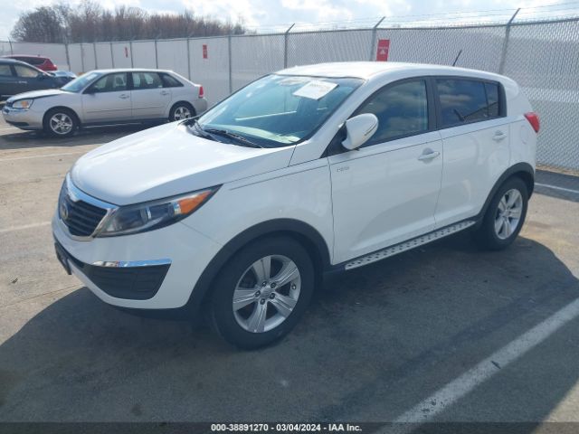 Photo 1 VIN: KNDPBCA24D7431948 - KIA SPORTAGE 