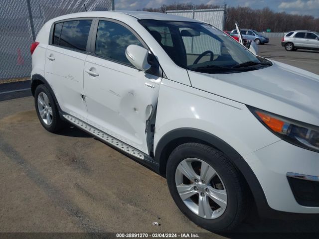 Photo 5 VIN: KNDPBCA24D7431948 - KIA SPORTAGE 