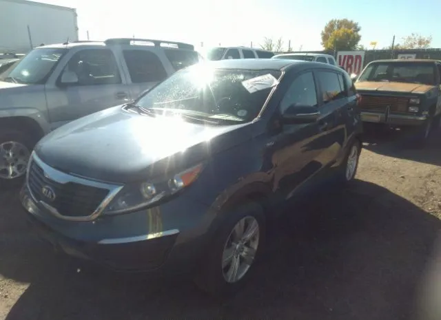 Photo 1 VIN: KNDPBCA24D7529491 - KIA SPORTAGE 