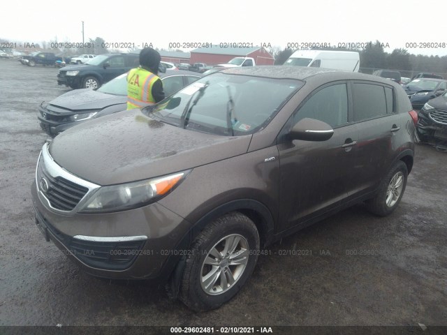 Photo 1 VIN: KNDPBCA25B7014271 - KIA SPORTAGE 