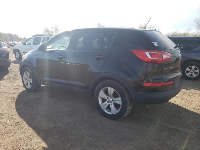 Photo 1 VIN: KNDPBCA25D7536417 - KIA SPORTAGE 