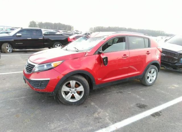 Photo 1 VIN: KNDPBCA26B7063558 - KIA SPORTAGE 