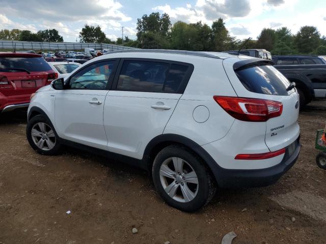 Photo 1 VIN: KNDPBCA26D7534613 - KIA SPORTAGE 