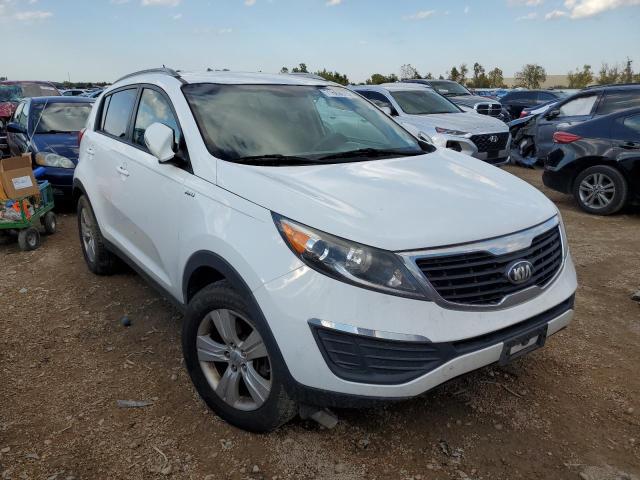 Photo 3 VIN: KNDPBCA26D7534613 - KIA SPORTAGE 