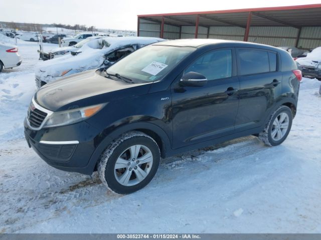 Photo 1 VIN: KNDPBCA27D7371356 - KIA SPORTAGE 