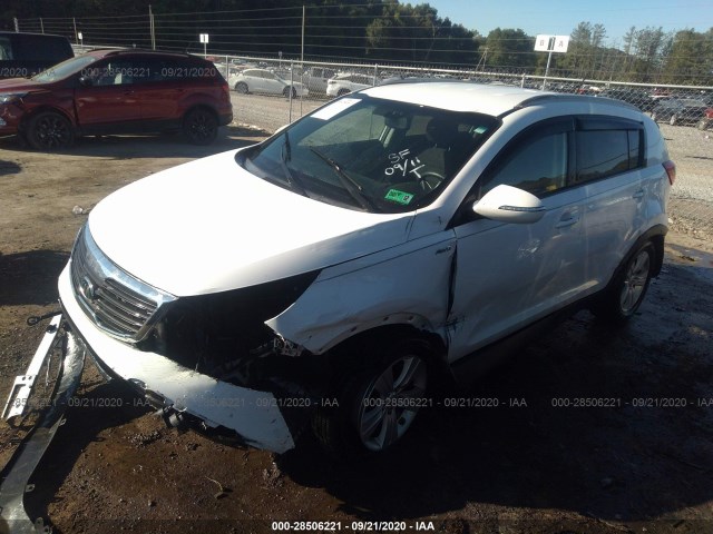 Photo 1 VIN: KNDPBCA28B7095816 - KIA SPORTAGE 