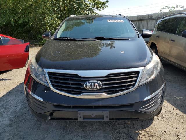 Photo 4 VIN: KNDPBCA28D7408625 - KIA SPORTAGE 