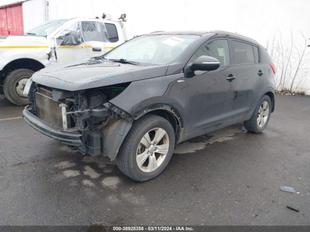 Photo 1 VIN: KNDPBCA29B7031803 - KIA SPORTAGE 