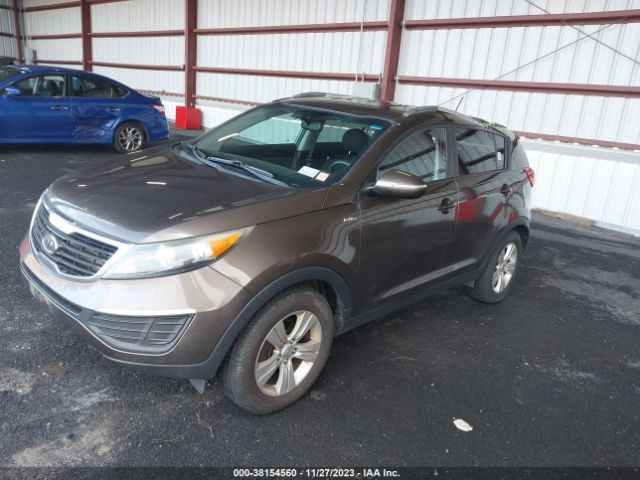 Photo 1 VIN: KNDPBCA29B7092178 - KIA SPORTAGE 