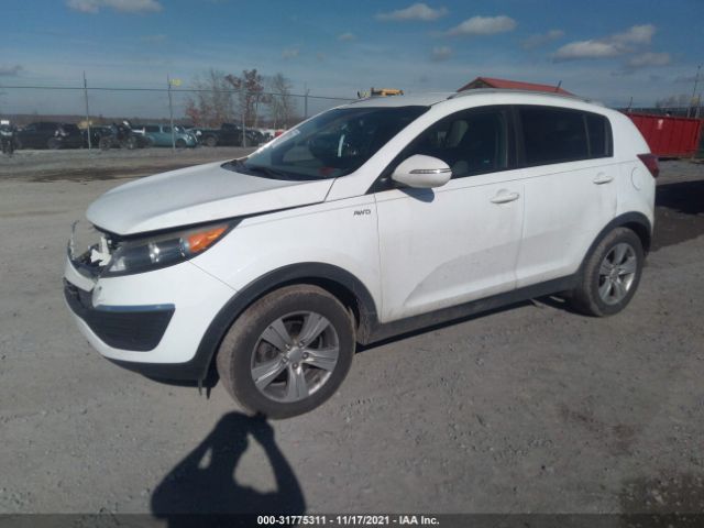 Photo 1 VIN: KNDPBCA2XB7031776 - KIA SPORTAGE 