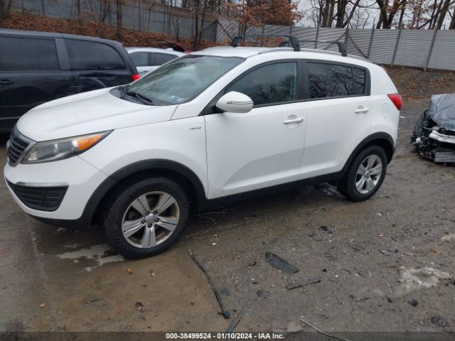 Photo 1 VIN: KNDPBCA2XD7408013 - KIA SPORTAGE 