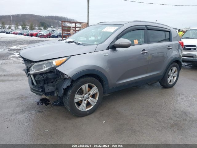 Photo 1 VIN: KNDPBCA2XD7475002 - KIA SPORTAGE 