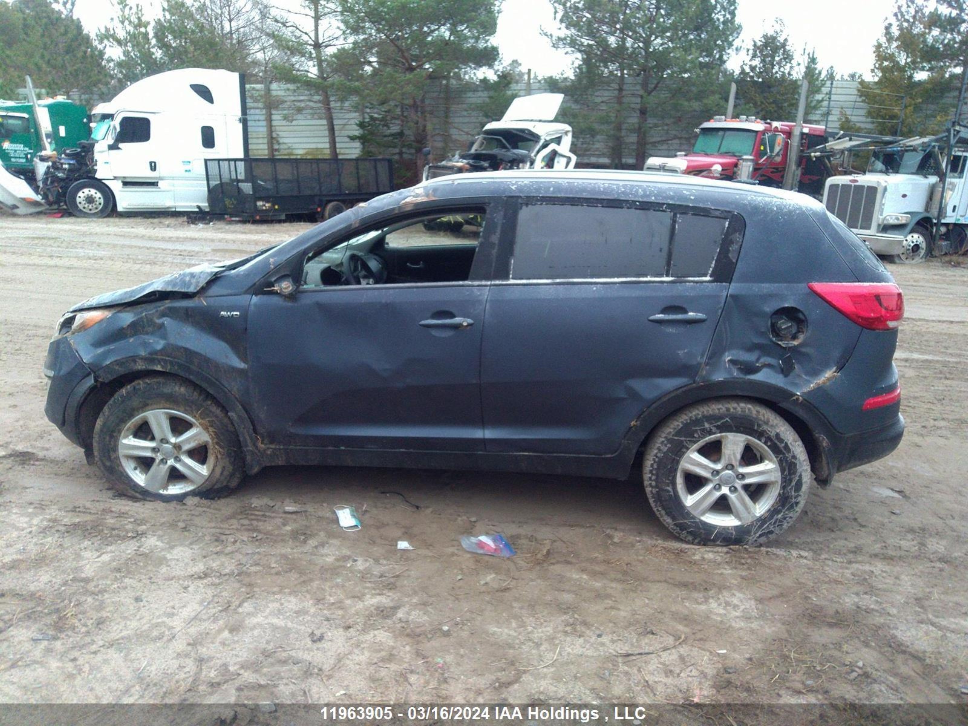 Photo 14 VIN: KNDPBCAC0E7552213 - KIA SPORTAGE 