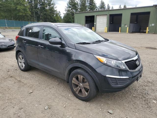 Photo 3 VIN: KNDPBCAC0G7812452 - KIA SPORTAGE 