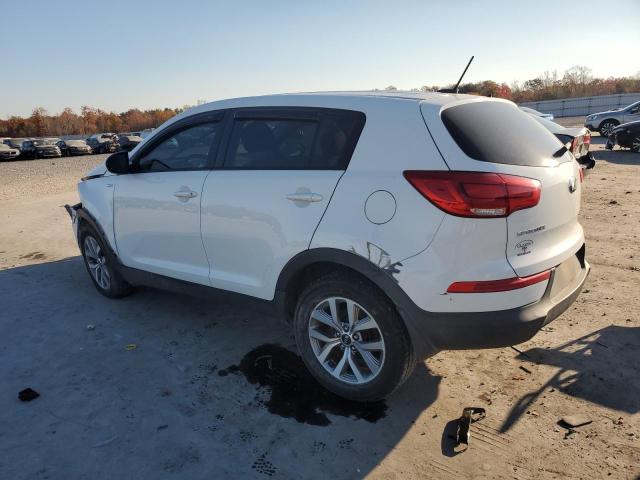 Photo 1 VIN: KNDPBCAC0G7822480 - KIA SPORTAGE 