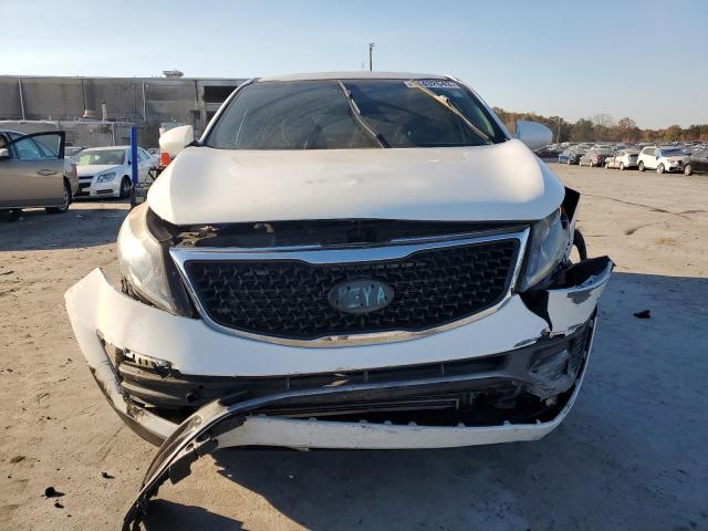 Photo 4 VIN: KNDPBCAC0G7822480 - KIA SPORTAGE 