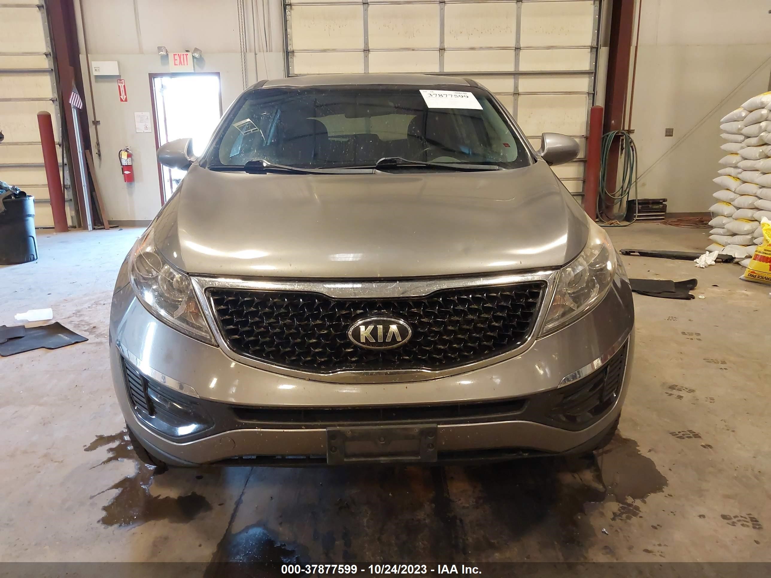 Photo 12 VIN: KNDPBCAC0G7871579 - KIA SPORTAGE 