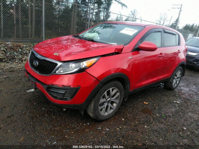 Photo 1 VIN: KNDPBCAC1E7604125 - KIA SPORTAGE 