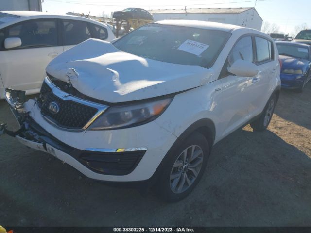 Photo 1 VIN: KNDPBCAC1F7712083 - KIA SPORTAGE 