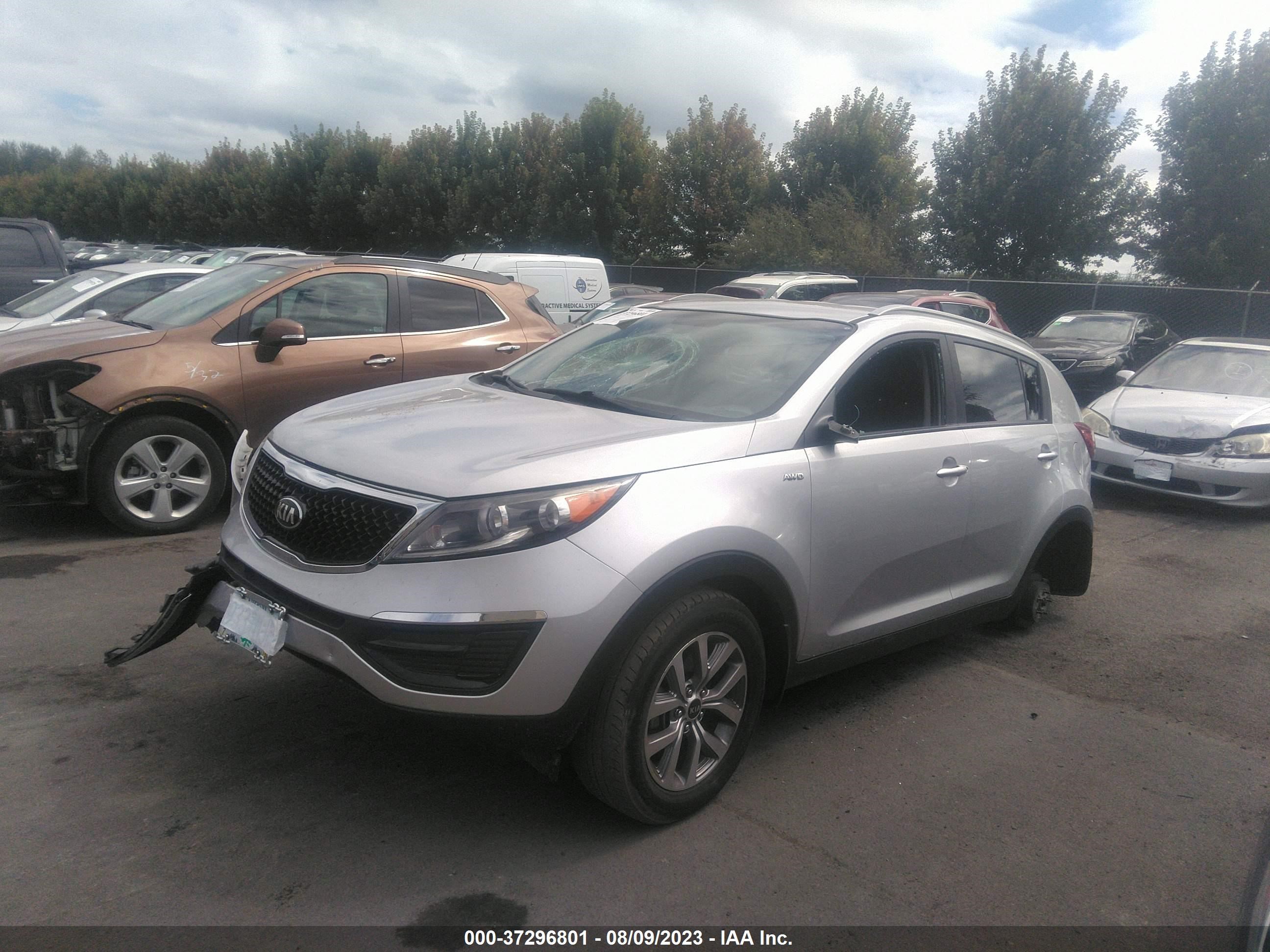 Photo 1 VIN: KNDPBCAC1F7739669 - KIA SPORTAGE 