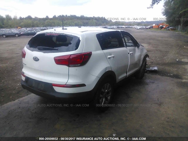 Photo 3 VIN: KNDPBCAC1F7790492 - KIA SPORTAGE 