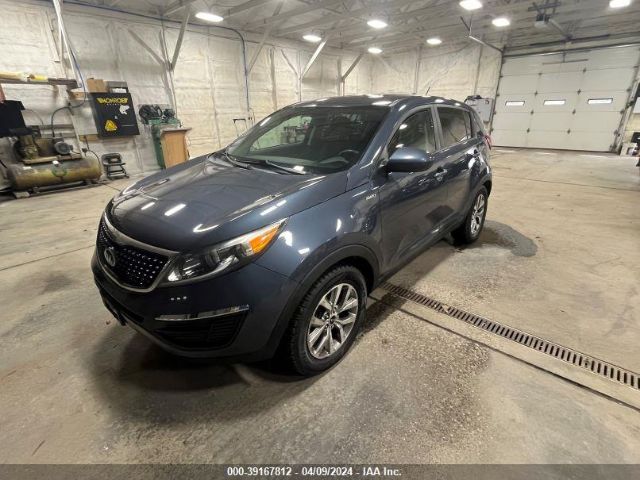 Photo 1 VIN: KNDPBCAC1G7802349 - KIA SPORTAGE 