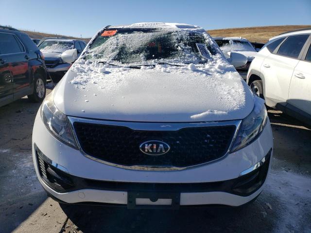 Photo 4 VIN: KNDPBCAC1G7851440 - KIA SPORTAGE 