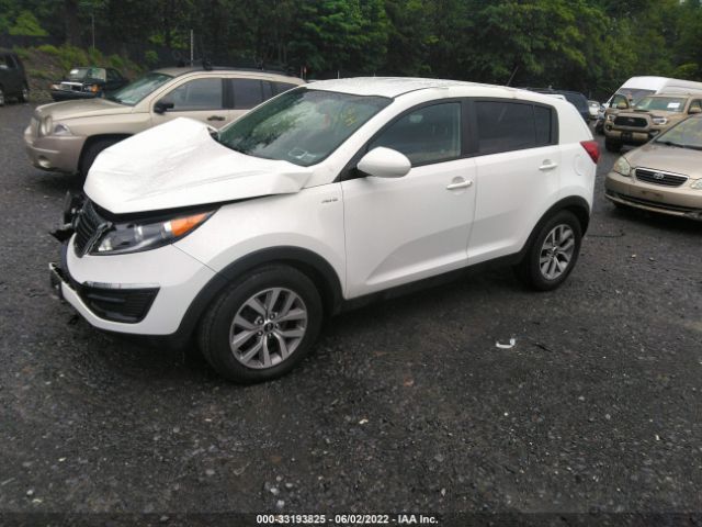 Photo 1 VIN: KNDPBCAC2G7860809 - KIA SPORTAGE 