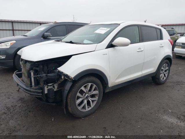 Photo 1 VIN: KNDPBCAC2G7864195 - KIA SPORTAGE 