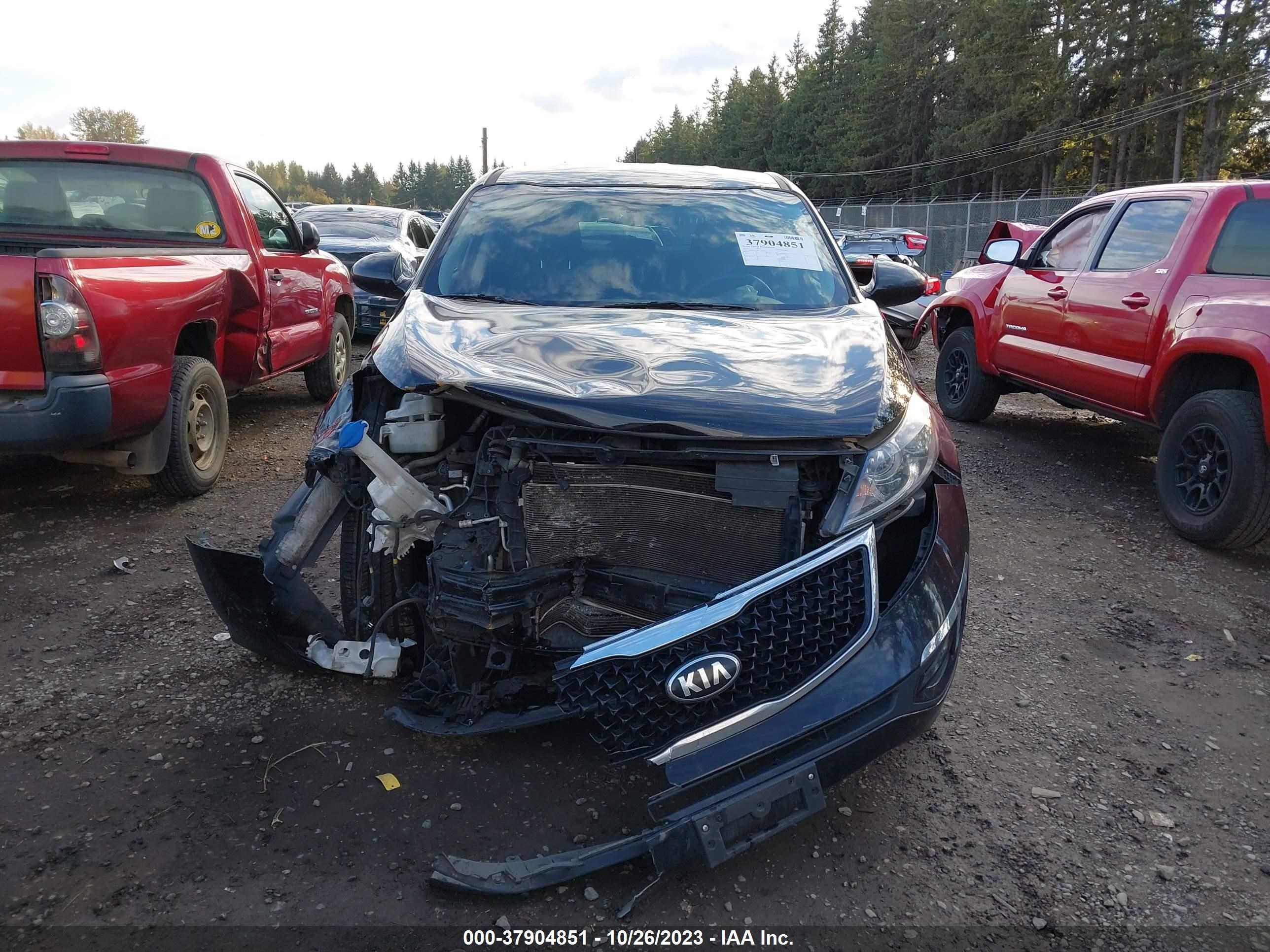 Photo 11 VIN: KNDPBCAC3F7758854 - KIA SPORTAGE 