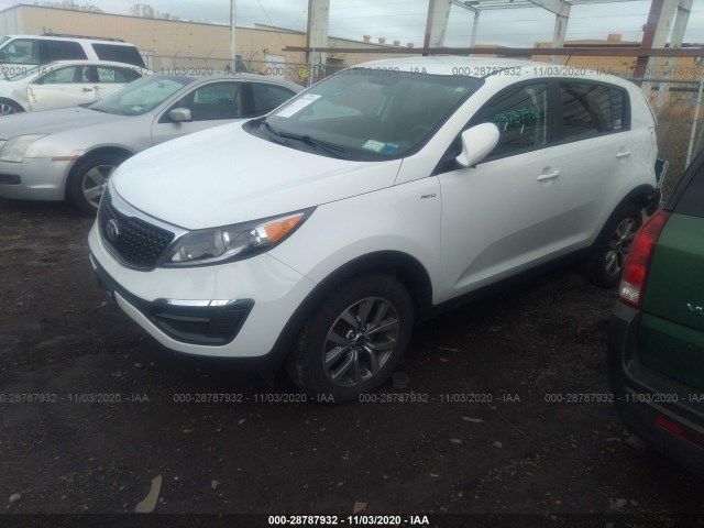 Photo 1 VIN: KNDPBCAC3F7794124 - KIA SPORTAGE 