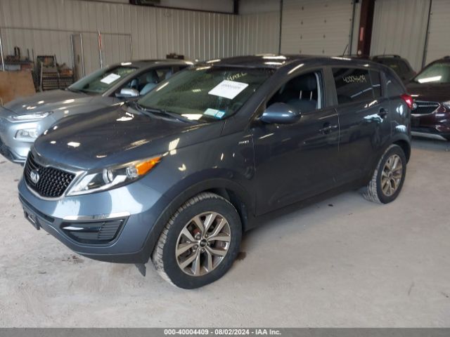 Photo 1 VIN: KNDPBCAC3G7875870 - KIA SPORTAGE 