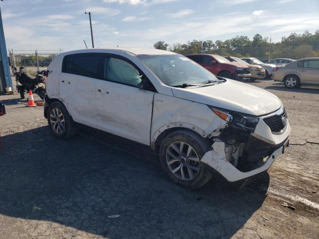 Photo 4 VIN: KNDPBCAC4G7849259 - KIA SPORTAGE 