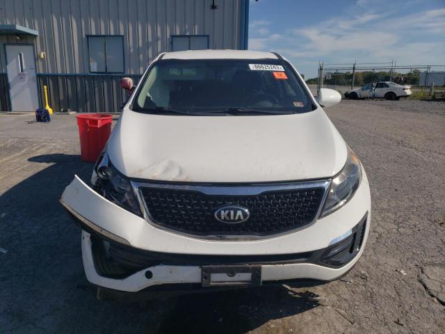 Photo 5 VIN: KNDPBCAC4G7849259 - KIA SPORTAGE 