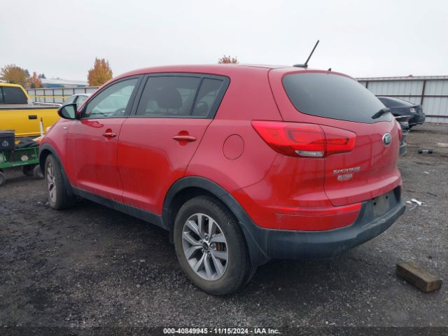 Photo 2 VIN: KNDPBCAC5F7758743 - KIA SPORTAGE 