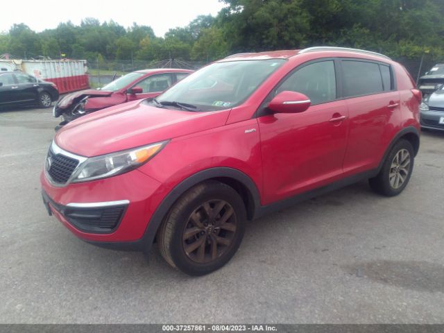 Photo 1 VIN: KNDPBCAC6E7584843 - KIA SPORTAGE 