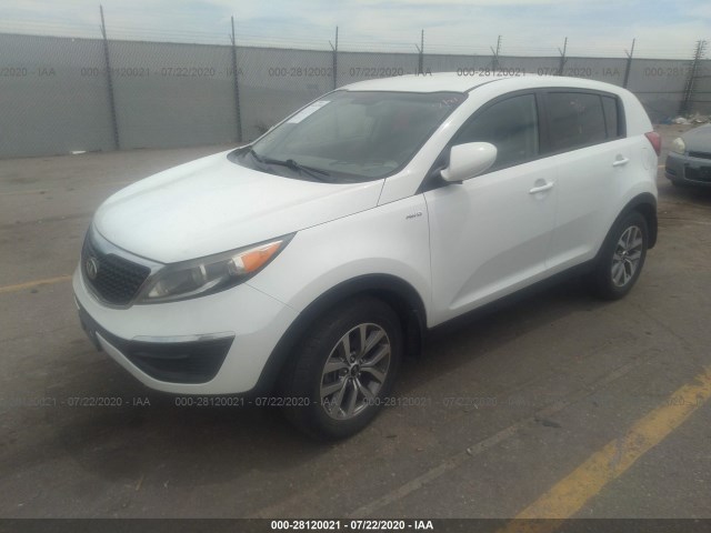 Photo 1 VIN: KNDPBCAC6E7614293 - KIA SPORTAGE 