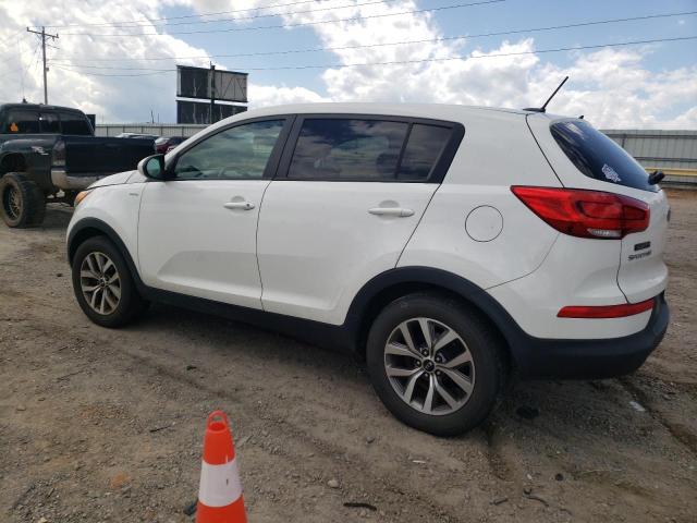 Photo 1 VIN: KNDPBCAC6E7628565 - KIA SPORTAGE 