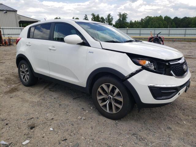 Photo 3 VIN: KNDPBCAC6E7628565 - KIA SPORTAGE 