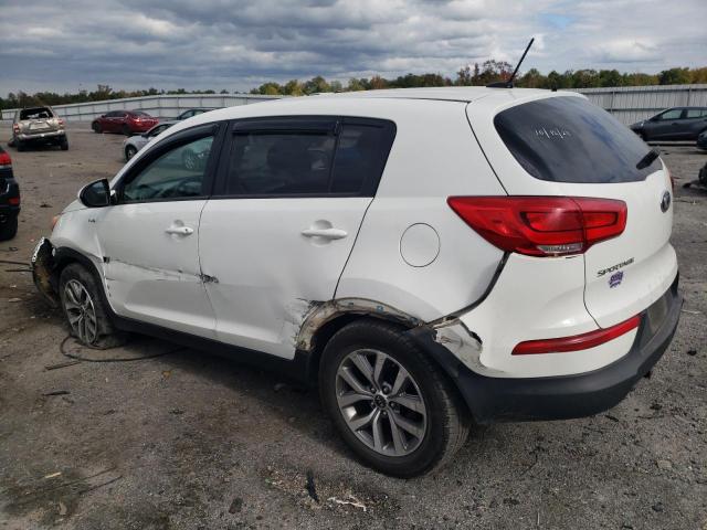 Photo 1 VIN: KNDPBCAC6F7684586 - KIA SPORTAGE 