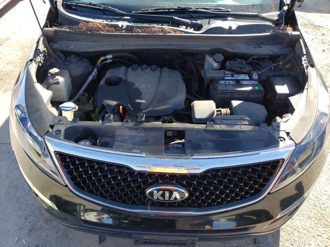 Photo 11 VIN: KNDPBCAC6F7779603 - KIA SPORTAGE 