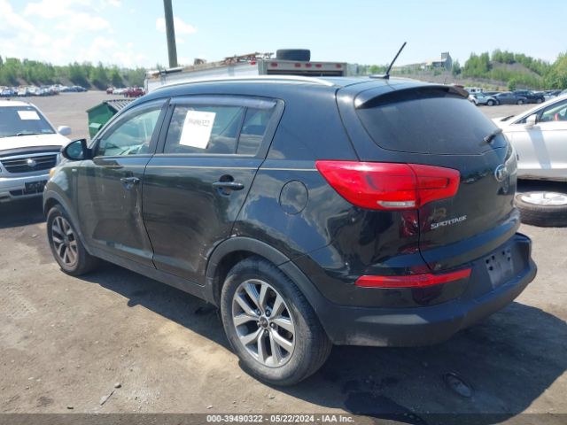 Photo 2 VIN: KNDPBCAC6G7812181 - KIA SPORTAGE 