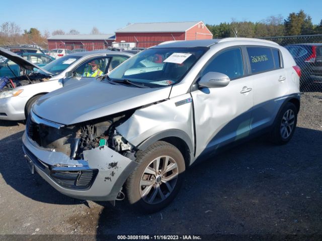 Photo 1 VIN: KNDPBCAC7E7646024 - KIA SPORTAGE 