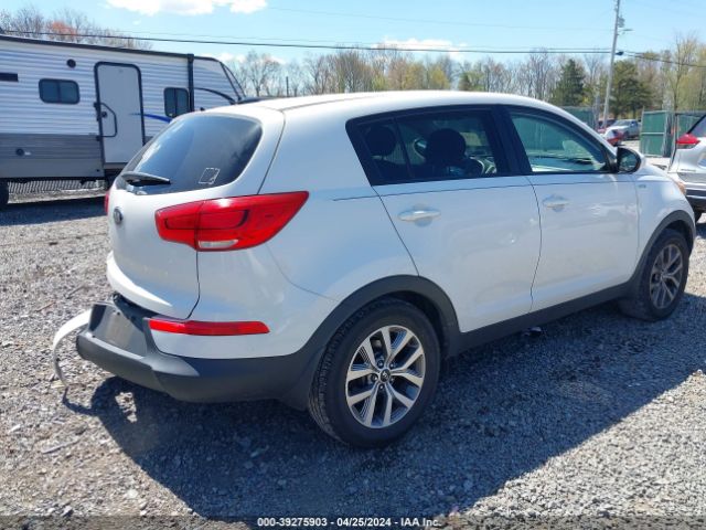 Photo 3 VIN: KNDPBCAC7G7811802 - KIA SPORTAGE 