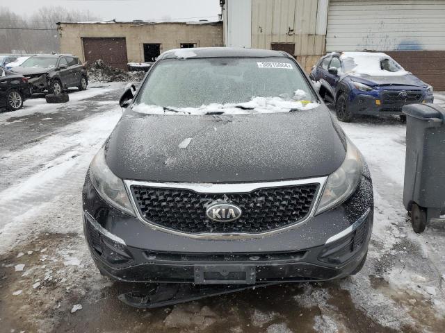 Photo 4 VIN: KNDPBCAC7G7814229 - KIA SPORTAGE 