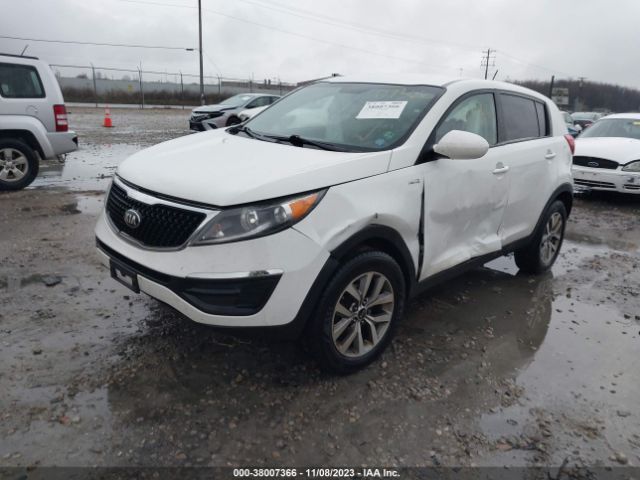 Photo 1 VIN: KNDPBCAC7G7820807 - KIA SPORTAGE 