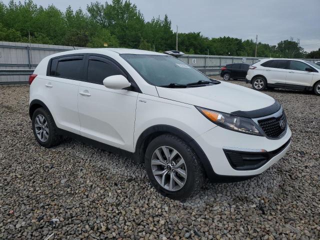 Photo 3 VIN: KNDPBCAC7G7828079 - KIA SPORTAGE 