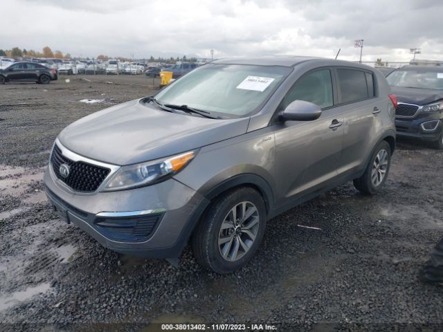 Photo 1 VIN: KNDPBCAC7G7876133 - KIA SPORTAGE 